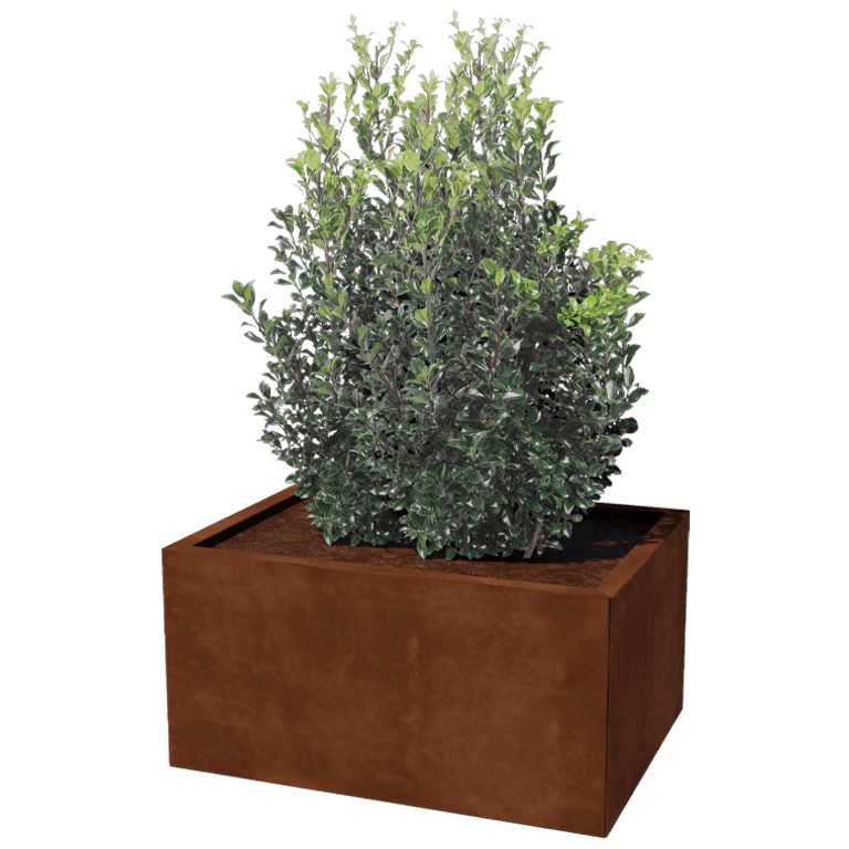 Floreira em aço corten Texas 60 x 80 cm