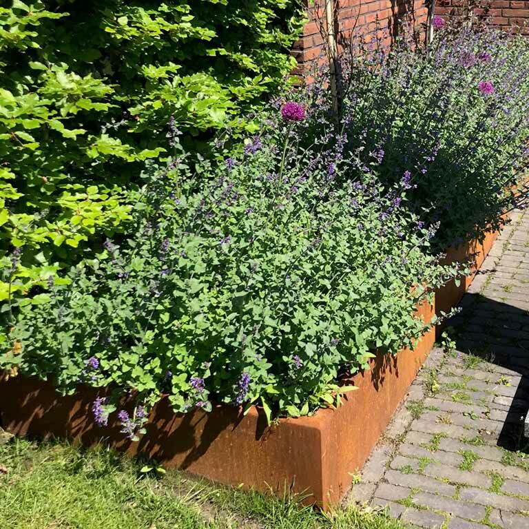 Muro de contenção reto de aço corten 100 cm (altura 50 cm)