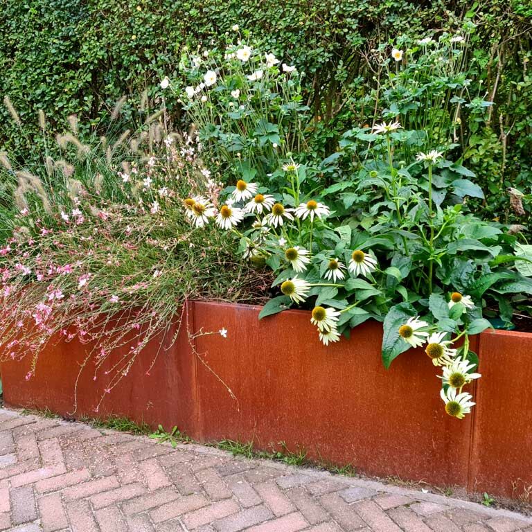 Floreira em aço corten Texas xxl 300 x 80 cm