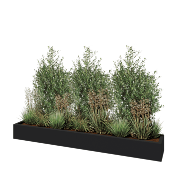 Floreira em fibra de vidro - Retângulo - 200 x 30 x 20 cm - RAL7021 mate (cinzento preto) - Com fundo