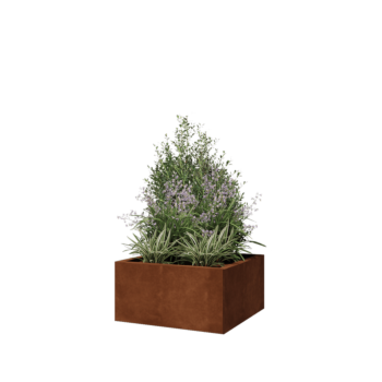 Floreira em aço corten - Quadrado - 60 x 60 x 30 cm - Sem placa de base