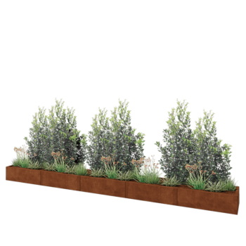 Floreira XXL em aço corten - Retângulo - 500 x 50 x 30 cm - Sem placa de base