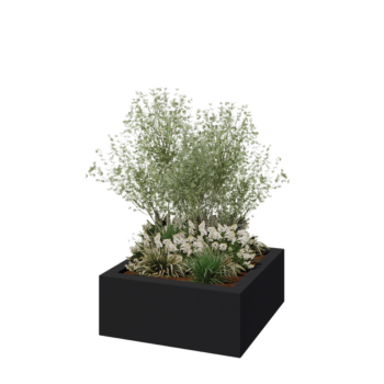 Floreira em fibra de vidro - Quadrado - 100 x 100 x 40 cm - RAL7021 mate (cinzento preto) - Com fundo