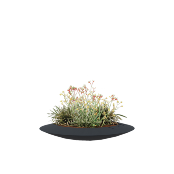 Floreira em fibra de vidro - Taça - Ø 120 x 20 cm - RAL7021 mate (cinzento preto) - Com fundo