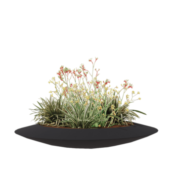 Floreira em fibra de vidro - Taça - Ø 120 x 20 cm - RAL7021 mate (cinzento preto) - Com fundo