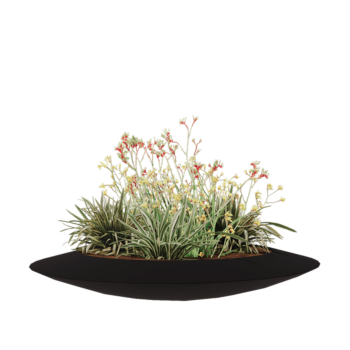 Floreira em fibra de vidro - Taça - Ø 120 x 20 cm - RAL9005 mate (preto) - Com fundo