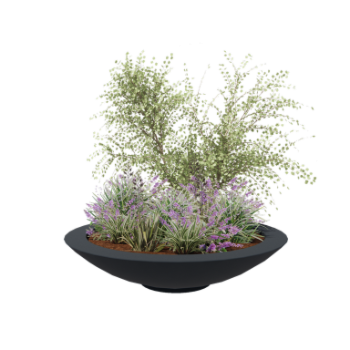 Floreira em fibra de vidro - Taça - Ø 153 x 34 cm - RAL7021 mate (cinzento preto) - Com fundo