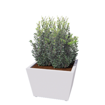 Floreira em aço - Cone - 80 x 80 x 51,5 cm - Soldado - RAL9010 fosco (branco) - Com placa de base