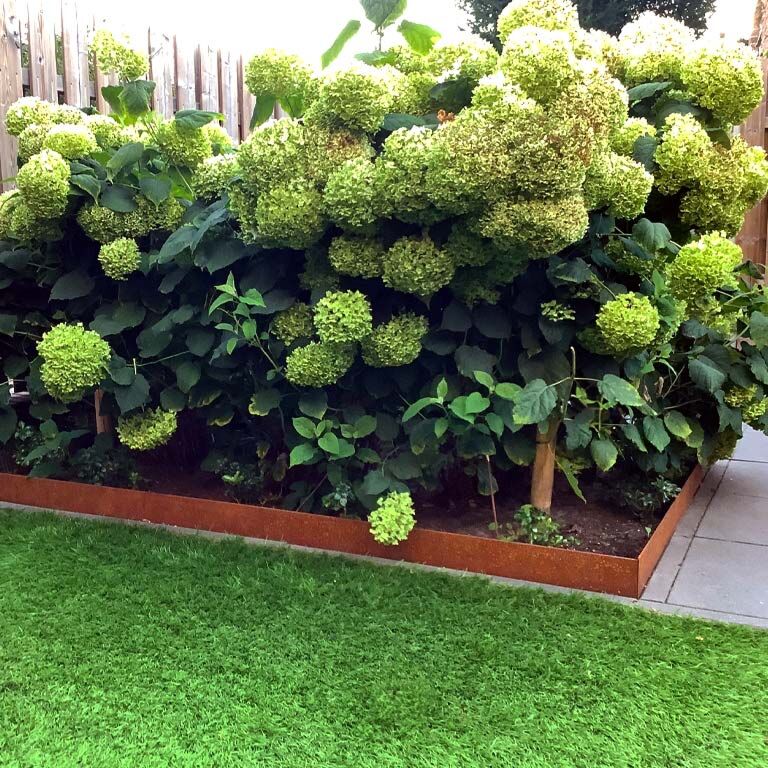 Bordadura em aço corten - Achatada - Altura 13 cm - 150 cm