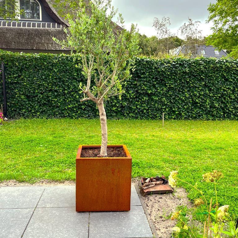 Floreira em aço corten Miami 60 x 60 cm