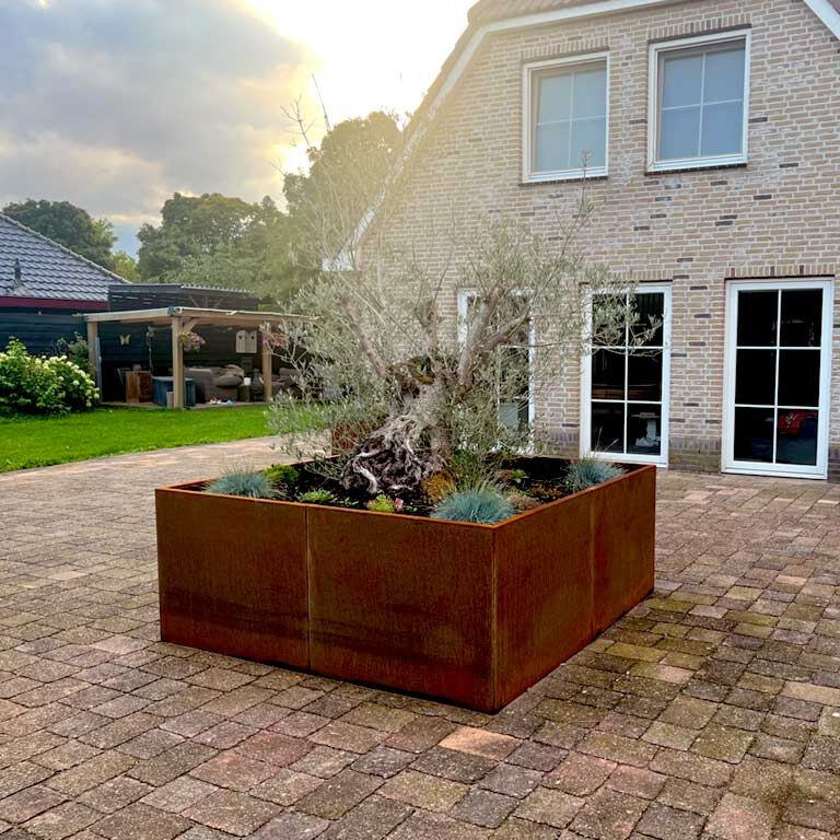Floreira em aço corten Miami xxl 240 x 240 cm
