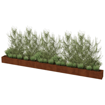 Floreira em aço corten Texas xxl 500 x 30 cm