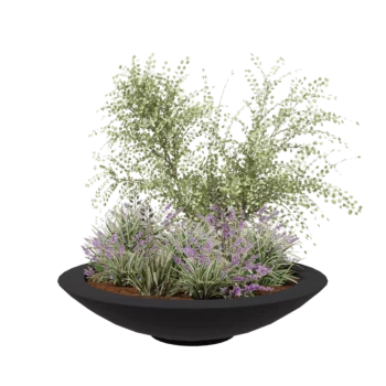 Floreira em fibra de vidro - Taça - Ø 153 x 34 cm - RAL7021 mate (cinzento preto) - Com fundo