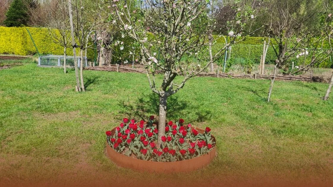 Como fazer uma borda ao redor de uma árvore?