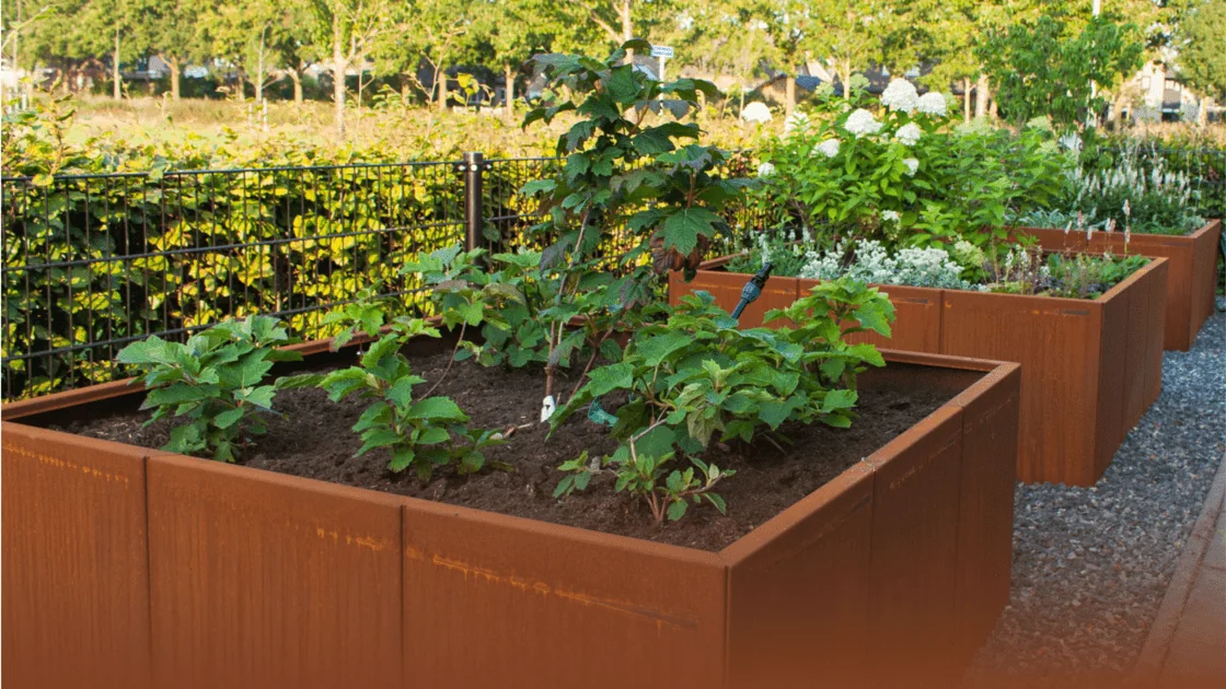 Guia de Aço Corten: tudo o que você precisa saber sobre este material