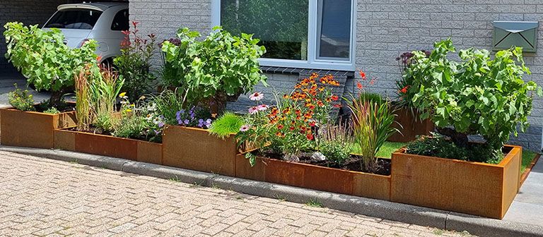 Arranjo de vasos de plantas: as ideias mais divertidas