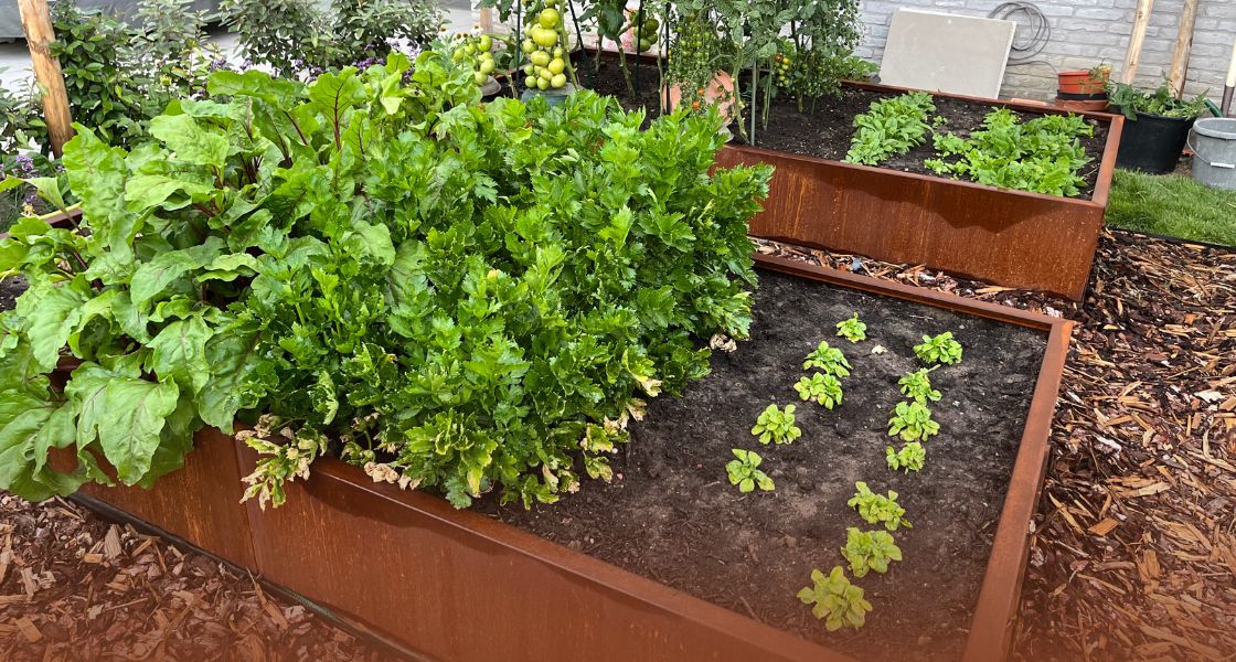 Inspiração e ideias para uma horta.